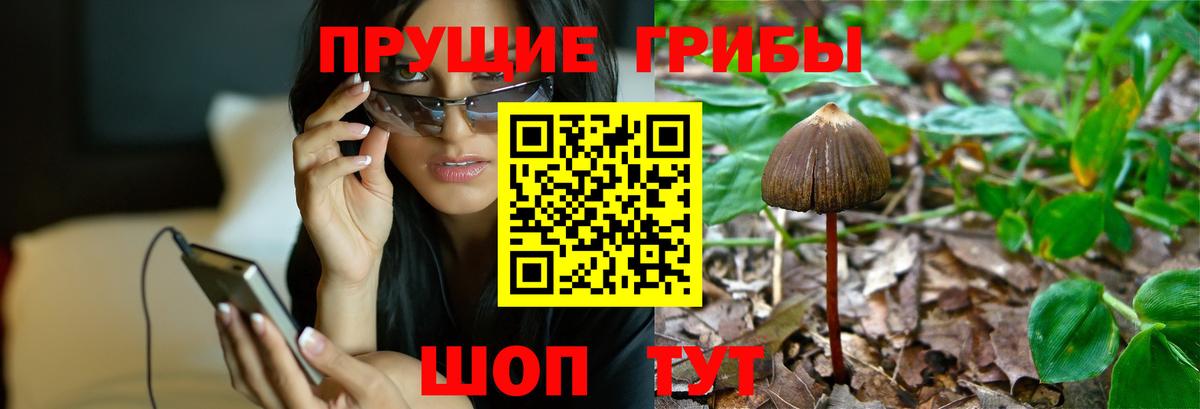 Псилоцибиновые грибы MAGIC MUSHROOMS  Вход с VPN  Сибай 